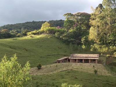 Stio para Venda, em Joanpolis, bairro OUTROS, 3 dormitrios, 2 banheiros, 1 sute