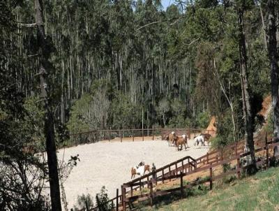 Haras para Venda, em Campos do Jordo, bairro SO BENEDITO