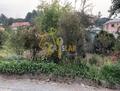 Terreno para Venda, em Bento Gonalves, bairro Pinto Bandeira