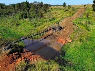 Fazenda para Venda, em Presidente Epitcio, bairro Centro