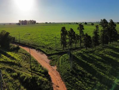 Chcara para Venda, em Presidente Venceslau, bairro Centro