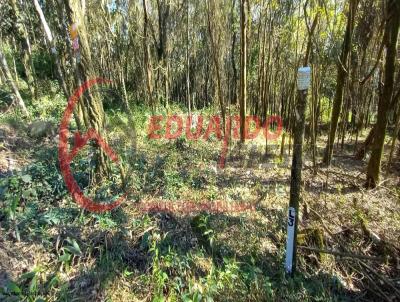 Terreno para Venda, em Mairipor, bairro Mato Dentro