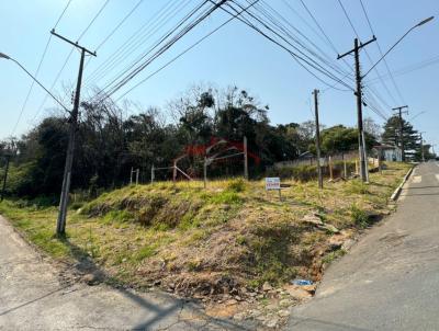 Lote para Venda, em Irati, bairro Centro