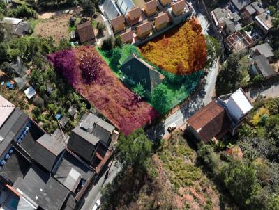 Terreno para Venda, em Nova Friburgo, bairro Nova Suia