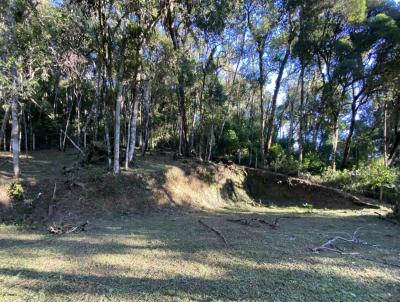 Terreno para Venda, em Campos do Jordo, bairro Nova Capivari