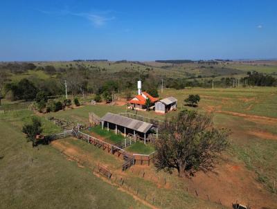 Fazenda para Venda, em Presidente Venceslau, bairro Centro