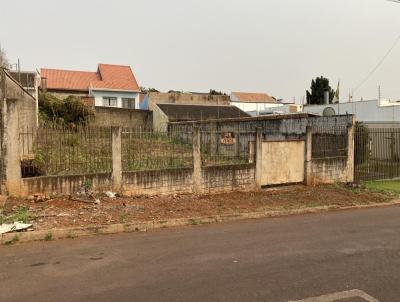 Terreno para Venda, em Cascavel, bairro Maria Luiza