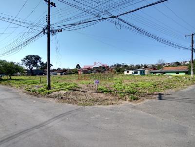 Lote para Venda, em Irati, bairro Canisianas