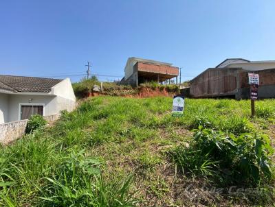 Terreno para Venda, em Palhoa, bairro Bela Vista