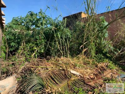 Terreno para Venda, em Perube, bairro Belmira Novaes