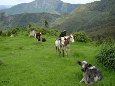 Fazenda para Venda, em Aiuruoca, bairro quatro leos