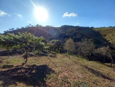 Stio para Venda, em Carvalhos, bairro Estrada