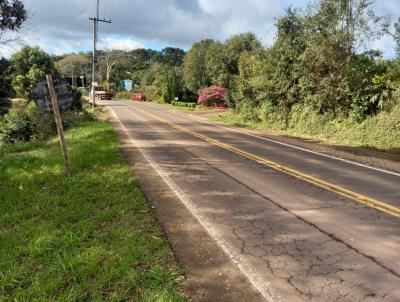 Terreno para Venda, em Morro Reuter, bairro So Jos do Herval