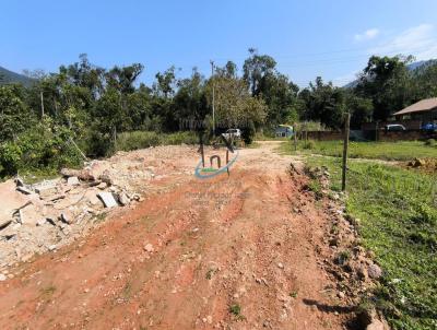 Terreno para Venda, em Ubatuba, bairro Praia da Tabatinga