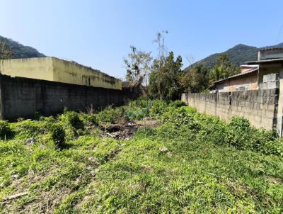 Terreno para Venda, em Ubatuba, bairro Praia da Tabatinga