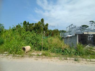 Terreno para Venda, em Caraguatatuba, bairro Massaguau