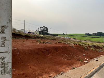 Terreno Urbano para Venda, em Campos Novos, bairro Loteamento Nascer do Sol