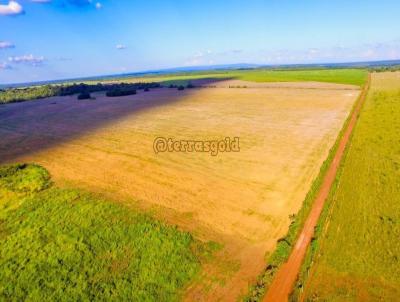 Fazenda para Venda, em Rosrio Oeste, bairro Zona rural