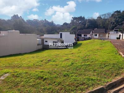 Terreno para Venda, em Pato Branco, bairro Pinheirinho