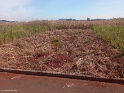 Terreno para Venda, em Foz do Iguau, bairro VILA MADALENA