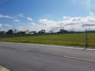 Terreno para Venda, em Cabo Frio, bairro Guriri