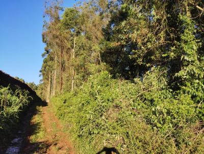 rea Rural para Venda, em Brochier, bairro interior