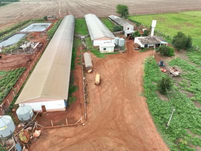 Chcara para Venda, em So Gabriel do Oeste, bairro Zona Rural, 2 dormitrios, 2 banheiros, 1 vaga
