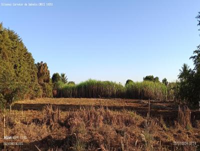 Terreno para Venda, em So Gabriel do Oeste, bairro Jardim Primavera