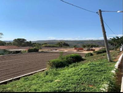 Fazenda para Venda, em So Sebastio do Paraso, bairro 2 KM DO ASFALTO