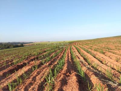 Fazenda para Venda, em Lins, bairro Rodovia Marechal Rondon