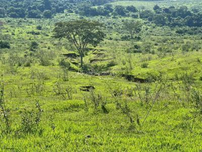 Fazenda para Venda, em Pompia, bairro rea Rural Pompia