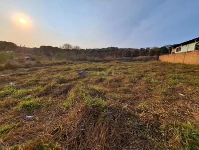 Lote para Venda, em Lagoa Santa, bairro Viso