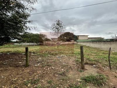 Terreno para Venda, em , bairro So Vicente de Paulo