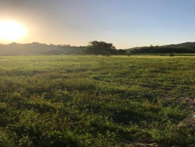 rea Rural para Venda, em Camaqu, bairro Santa Auta