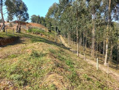 Terreno para Venda, em Cambori, bairro rea Rural de Cambori