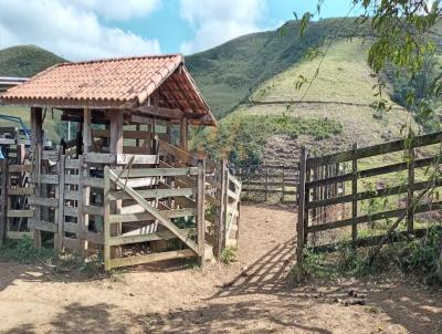 Fazenda para Venda, em Resende, bairro Vargem Grande