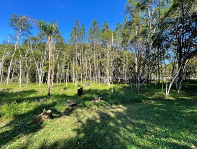 Terreno para Venda, em , bairro Aldeinha