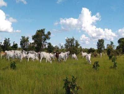 Fazenda para Venda, em So Flix do Araguaia, bairro Rural