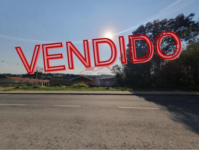 Lote para Venda, em Irati, bairro Engenheiro Gutierrez