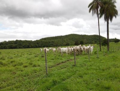 Fazenda para Venda, em Mag, bairro So Jos da Cachoeira (Rio do Ouro)