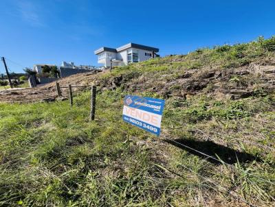 Terreno Urbano para Venda, em , bairro So Pelegrino