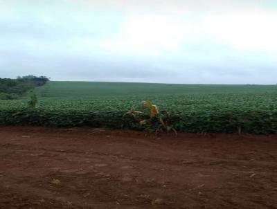 Terreno Comercial para Venda, em Itapetininga, bairro Centro, 2 dormitrios, 1 banheiro