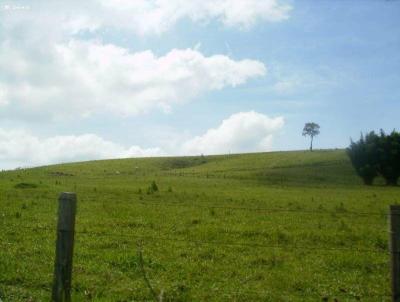 Terreno Comercial para Venda, em Itapetininga, bairro Centro, 3 dormitrios