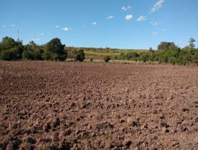 Terreno Comercial para Venda, em Cesrio Lange, bairro Centro