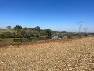 Terreno Comercial para Venda, em Avar, bairro Braz I, 2 dormitrios, 1 banheiro, 1 vaga