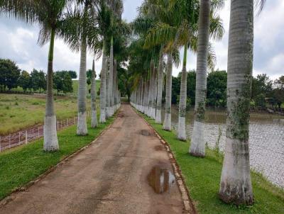 Terreno Comercial para Venda, em Itapetininga, bairro Centro, 2 dormitrios, 1 banheiro, 1 sute, 1 vaga