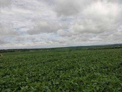 Fazenda para Venda, em Itapetininga, bairro Centro, 2 dormitrios, 1 banheiro, 1 vaga