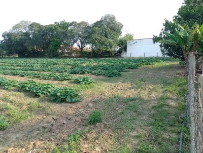 Terreno para Venda, em Tatu, bairro Santurio