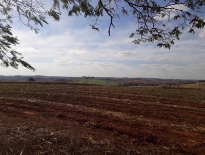 Terreno Comercial para Venda, em Tiet, bairro Centro, 2 dormitrios, 1 banheiro, 1 vaga