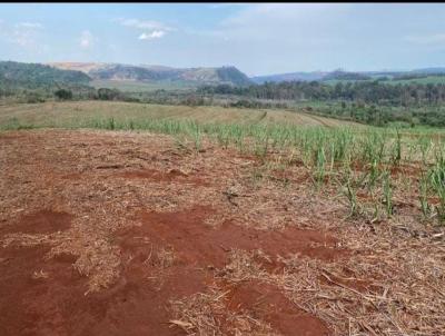 Terreno Comercial para Venda, em So Carlos, bairro Jardim So Carlos